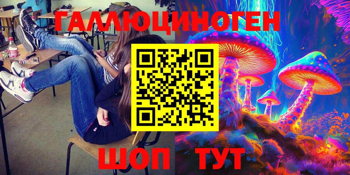 Псилоцибиновые грибы Cubensis Новозыбков