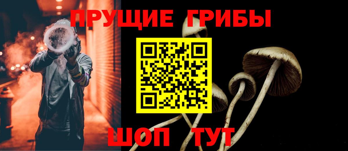 Новозыбков  Галлюциногенные грибы прущие грибы  Вход с VPN 